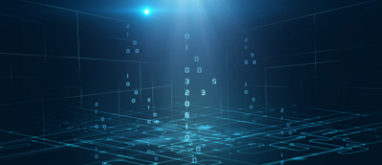 企业核心数据防护（财务数据、人资数据）